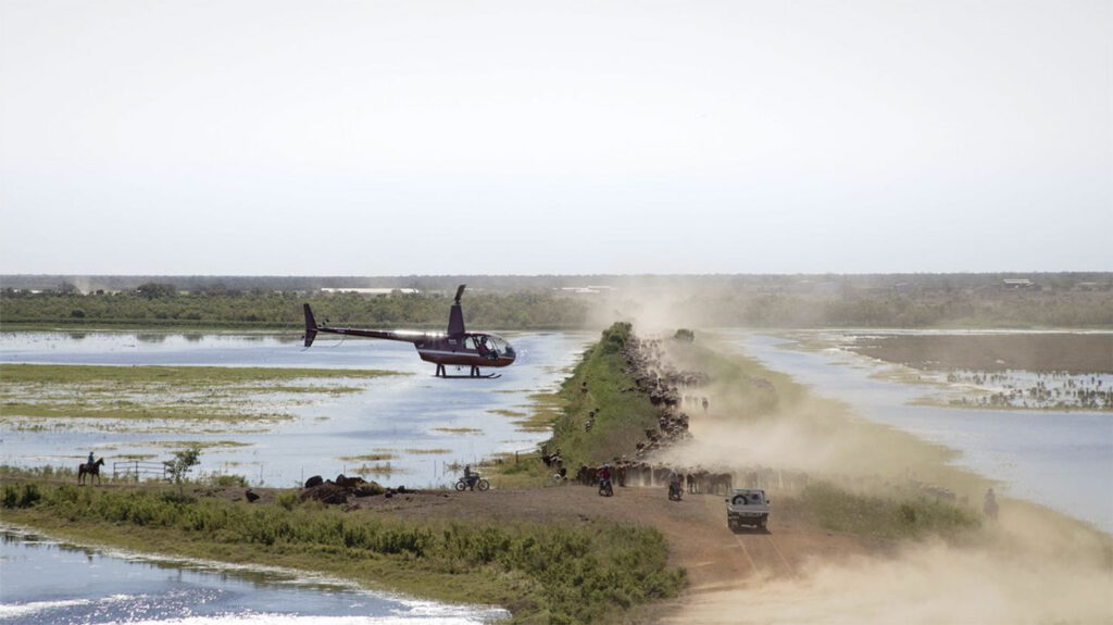 Mustering pilot and manager Rick Ford directs cattle toward the yards at Liveringa Station. Picture: Stacey Ford Photography