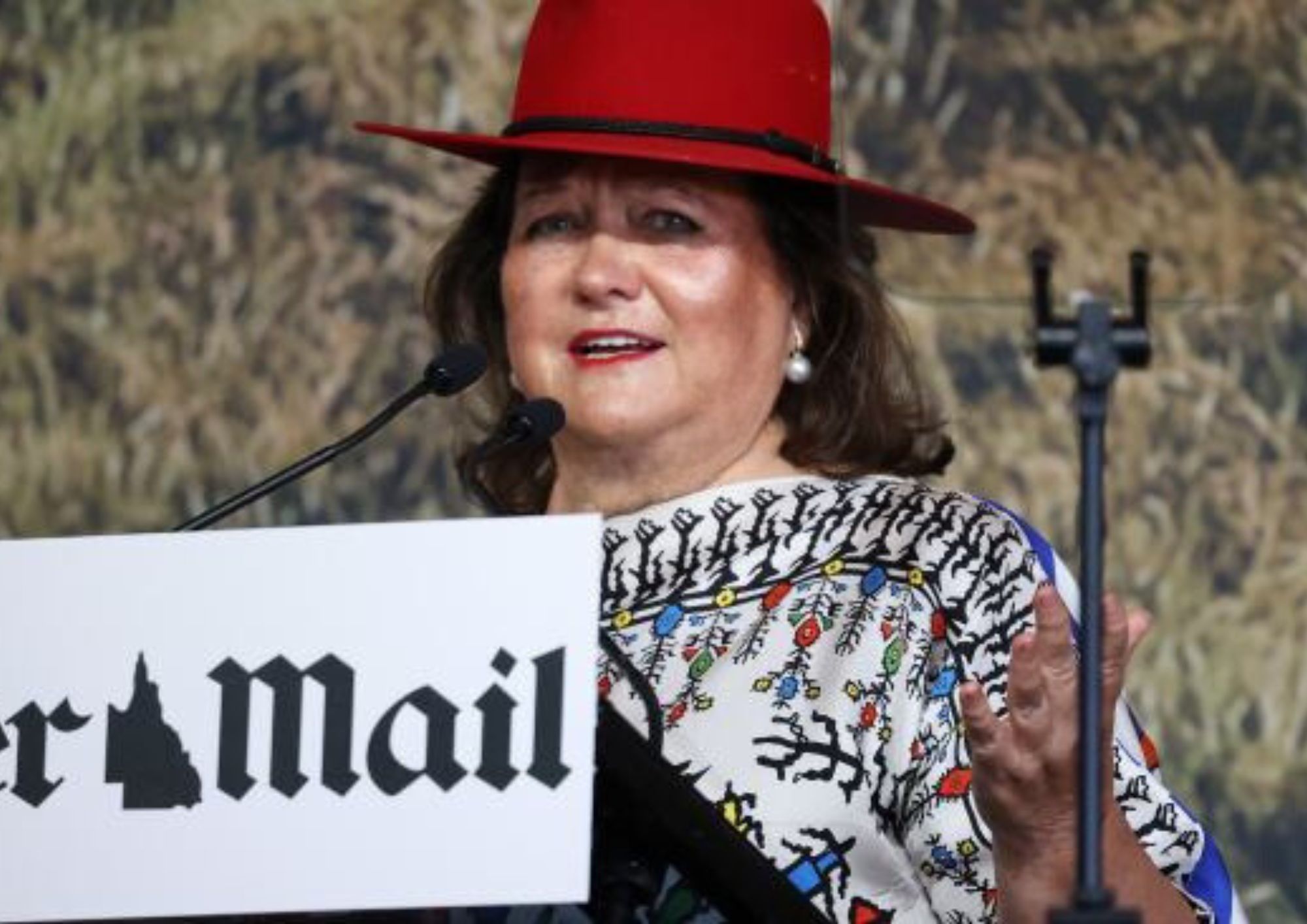 this-is-a-very-big-issue-mining-magnate-gina-rinehart-takes-aim-at